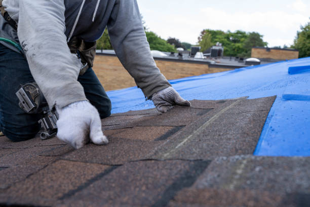 Best Roof Gutter Cleaning  in Centerville, GA